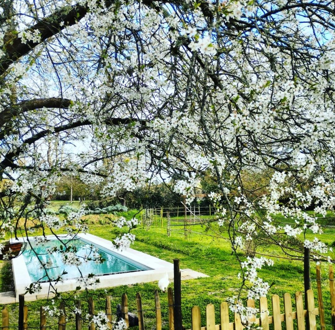Damechouette Bed & Breakfast Pujols  ภายนอก รูปภาพ