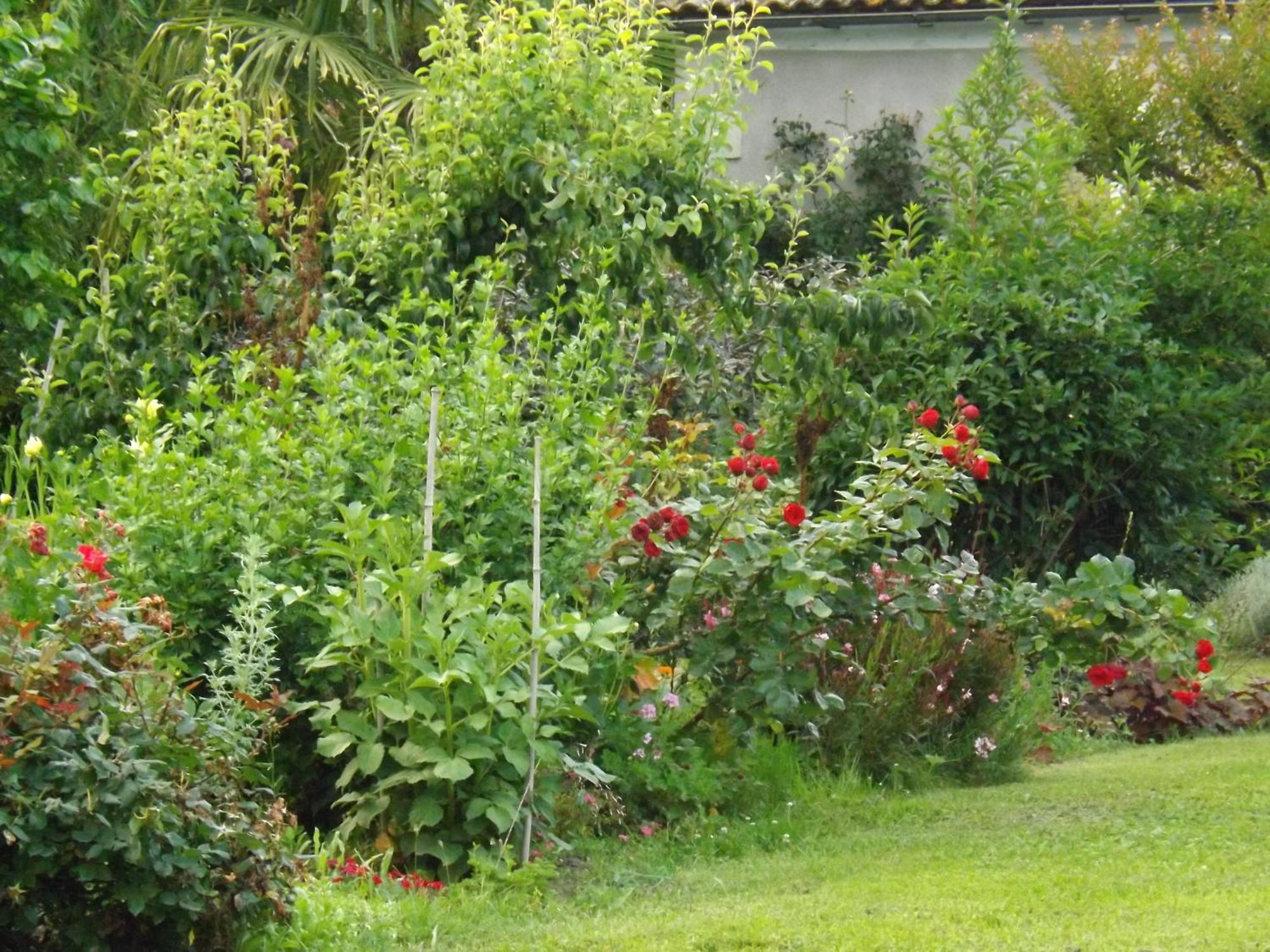 Damechouette Bed & Breakfast Pujols  ภายนอก รูปภาพ